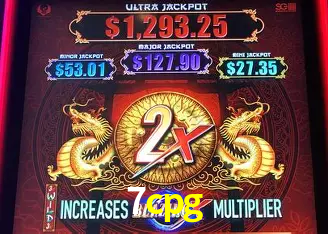7cpg Curitiba - Live Status